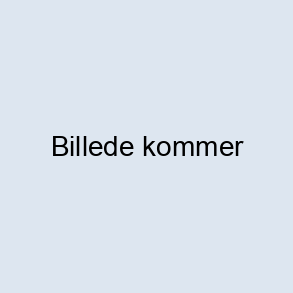 Politibil dansk m/pullback, die-cast